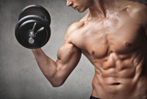 muscle building supplements that actually work
